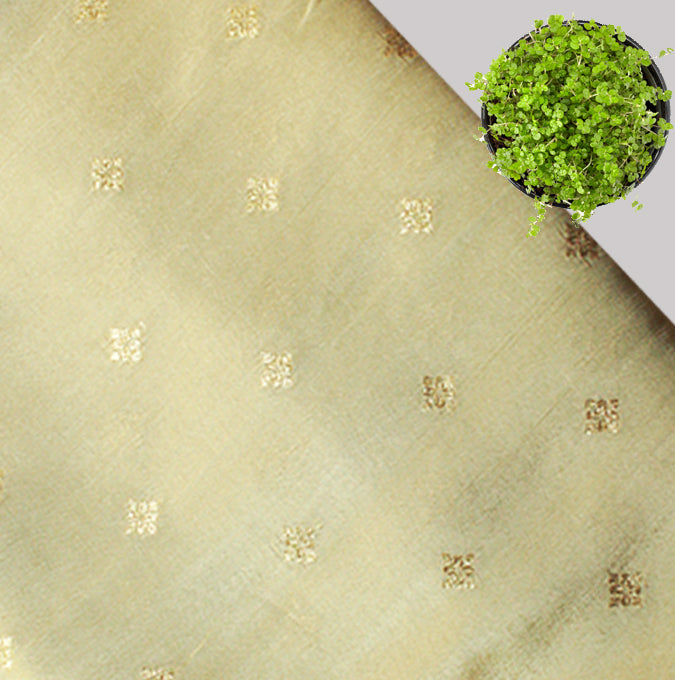 Cream-Gold Zari Floral Buti Dyeable Unstitched Fabric